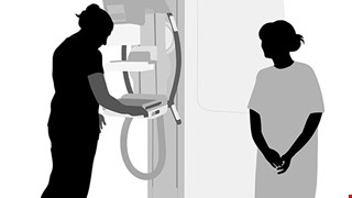 115年1月四癌篩檢活動場次公告