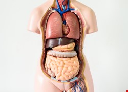 你不可不知的膽胰管疾病