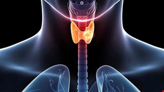 Thyroidectomy 認識甲狀腺切除術