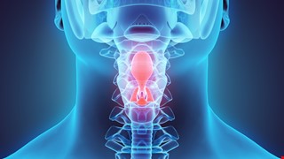 Epiglottitis (Acute Supraglottic Laryngitis) 會厭炎