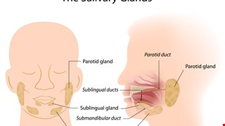 常見的唾液腺疾病