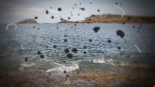 Floaters 惱人的「飛蚊症」