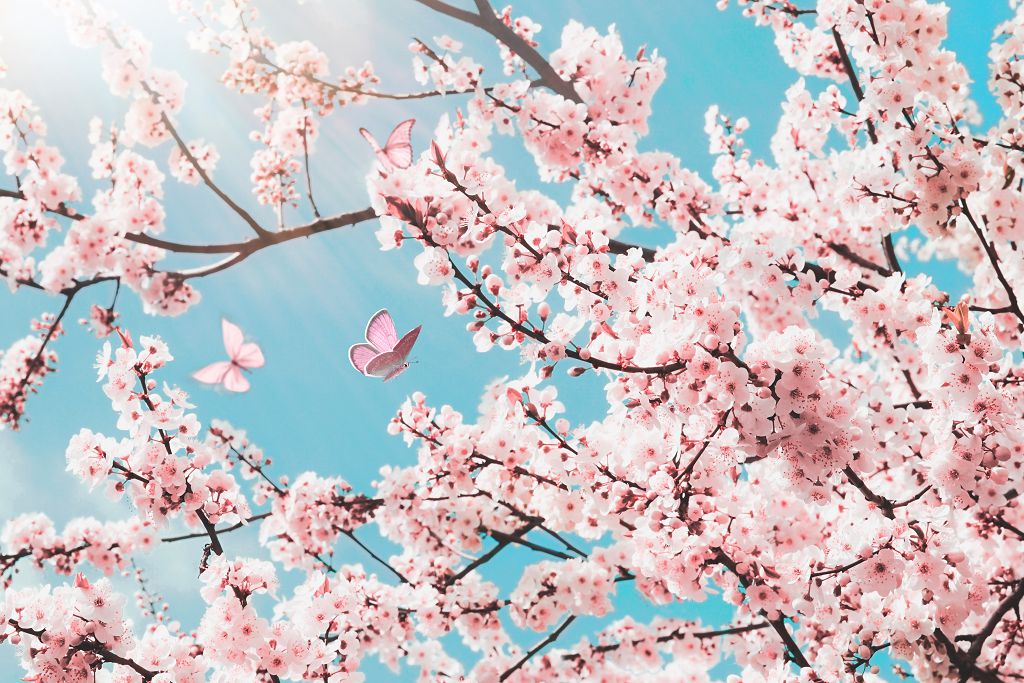 [健康醫學中心  115年春節  營運時間]